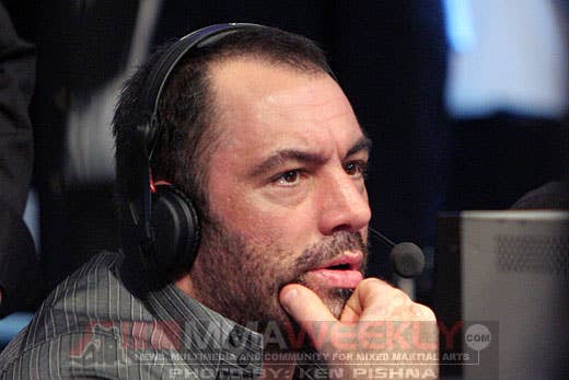 UFC Broadcaster Joe Rogan Returns to Fear Factor