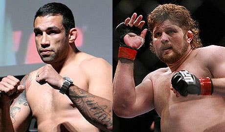 Fabricio Werdum Faces Roy Nelson in UFC Return