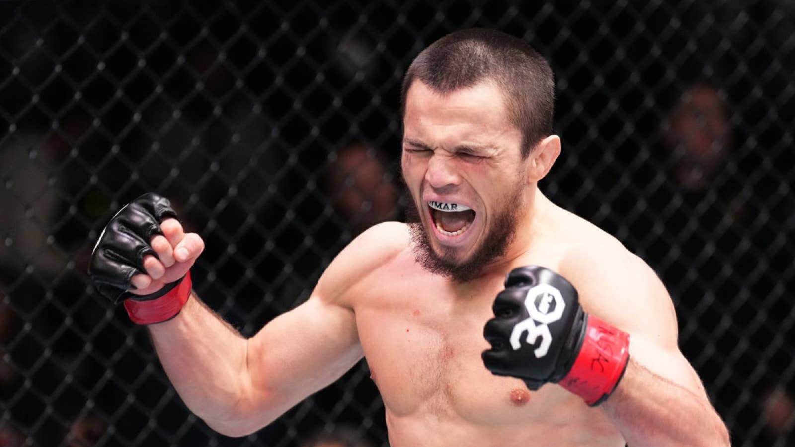 Umar Nurmagomedov returns to training days after knockout loss