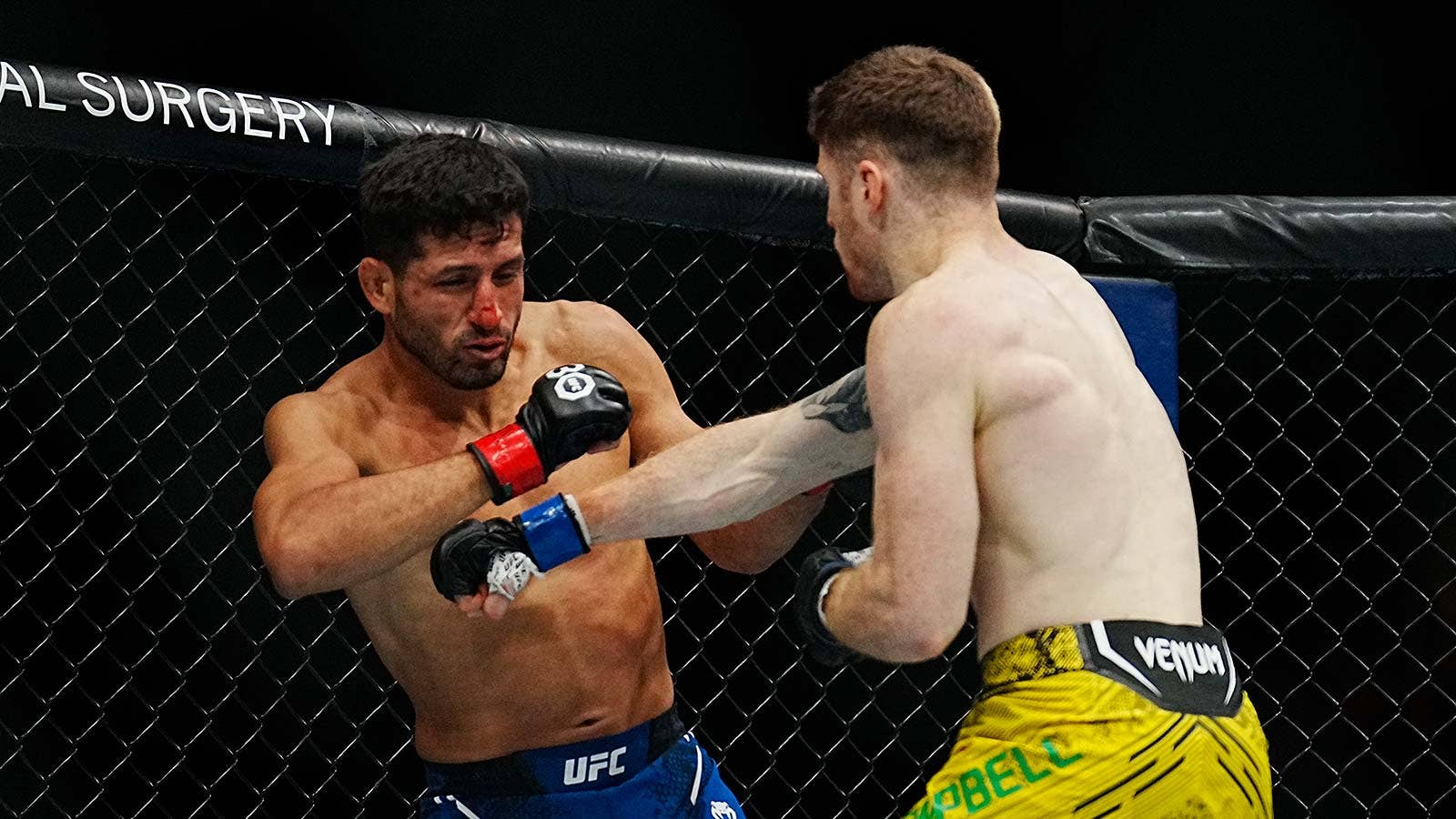 Noche UFC PHOTO GALLERY: Alexa Grasso vs Valentina Shevchenko 2 ...
