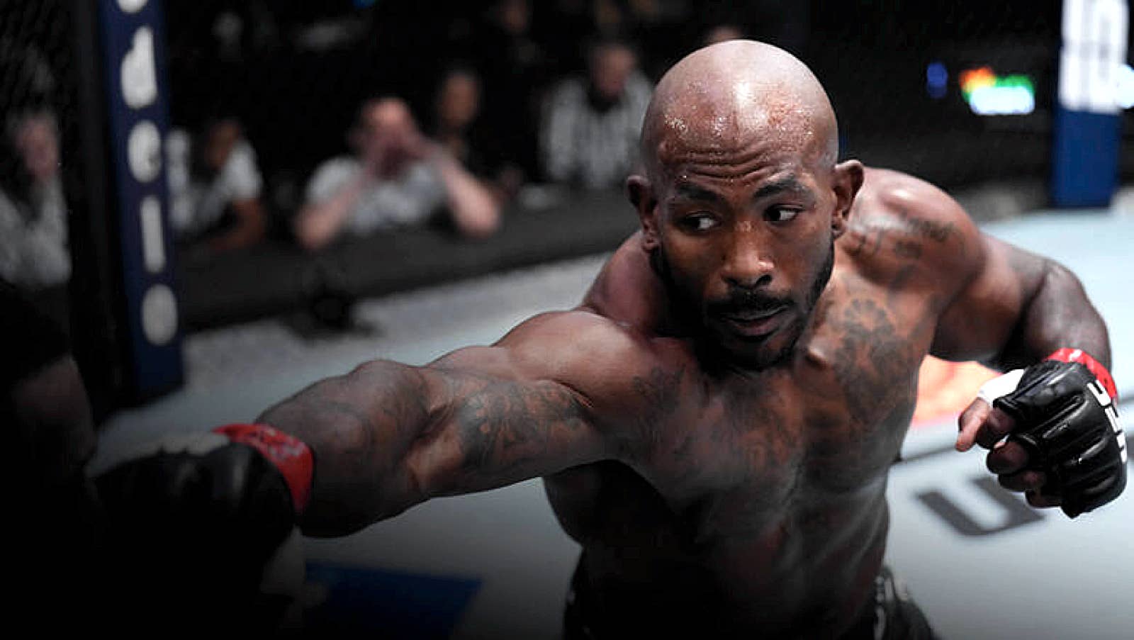 Khalil Rountree Jr. finishes Anthony Smith in the third - MMA Weekly