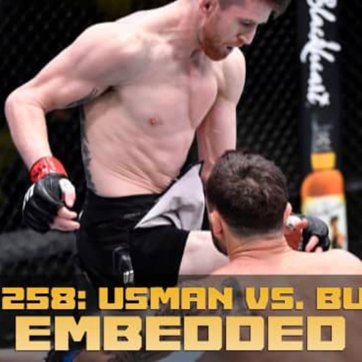 Watch wrestling ufc 258 online