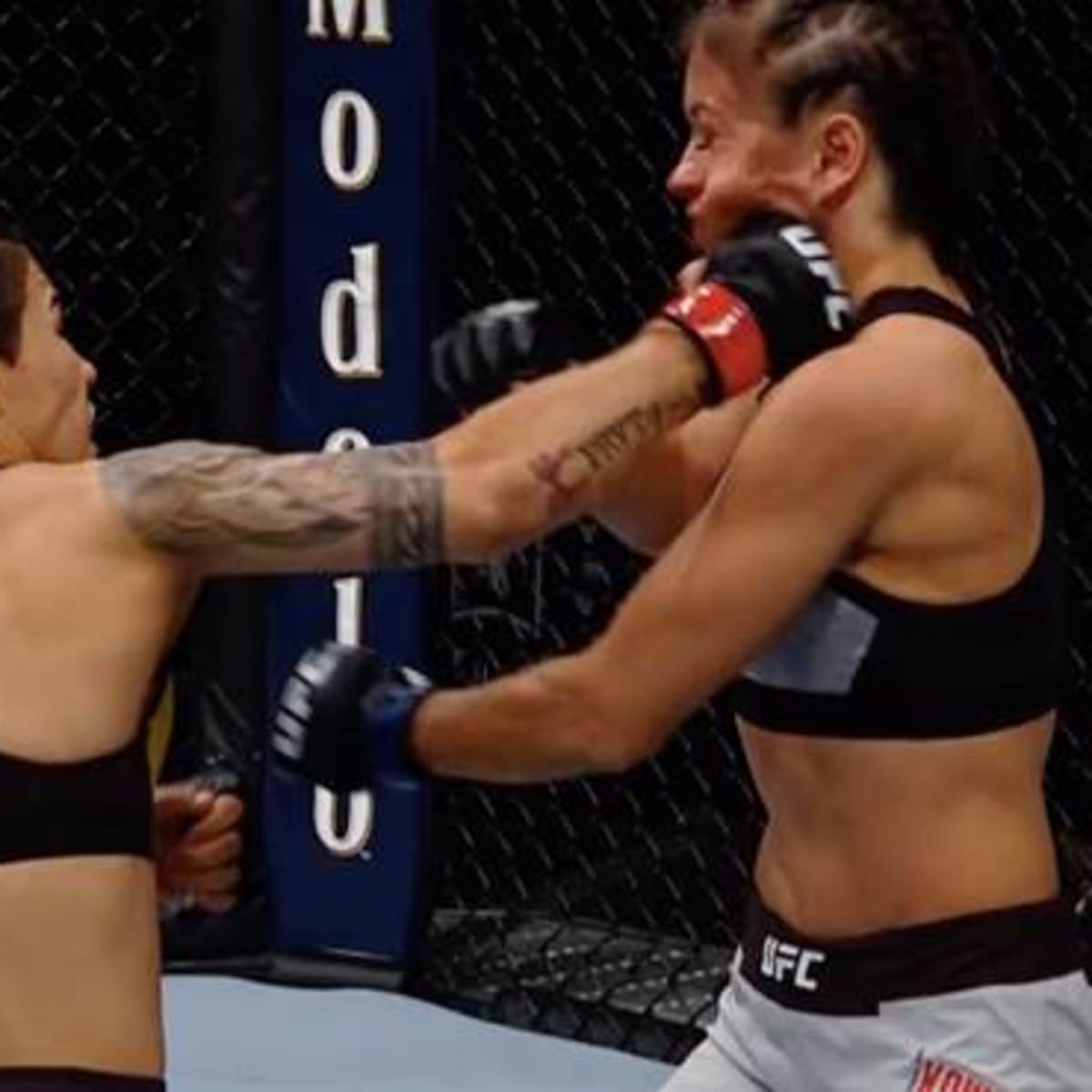 Watch ufc 237 online free on sale
