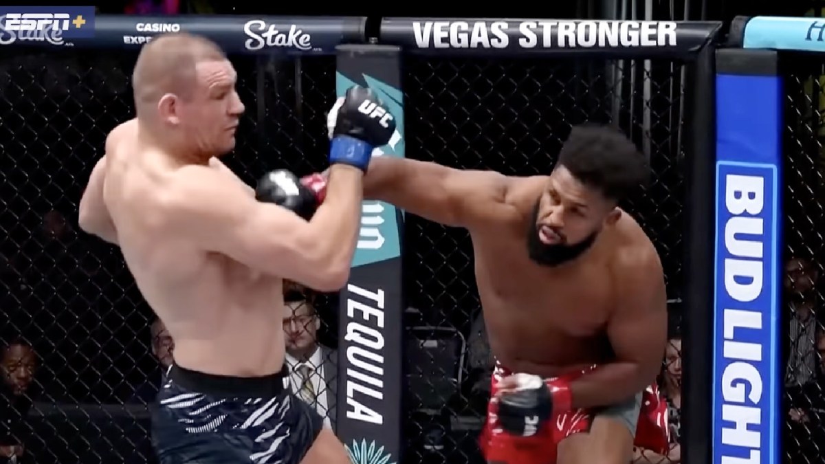 UFC Vegas 110’s best finishes video highlights
