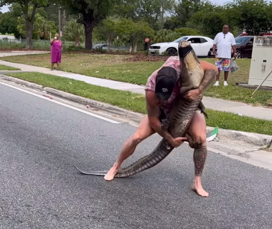 MMA fighter wrestles alligator