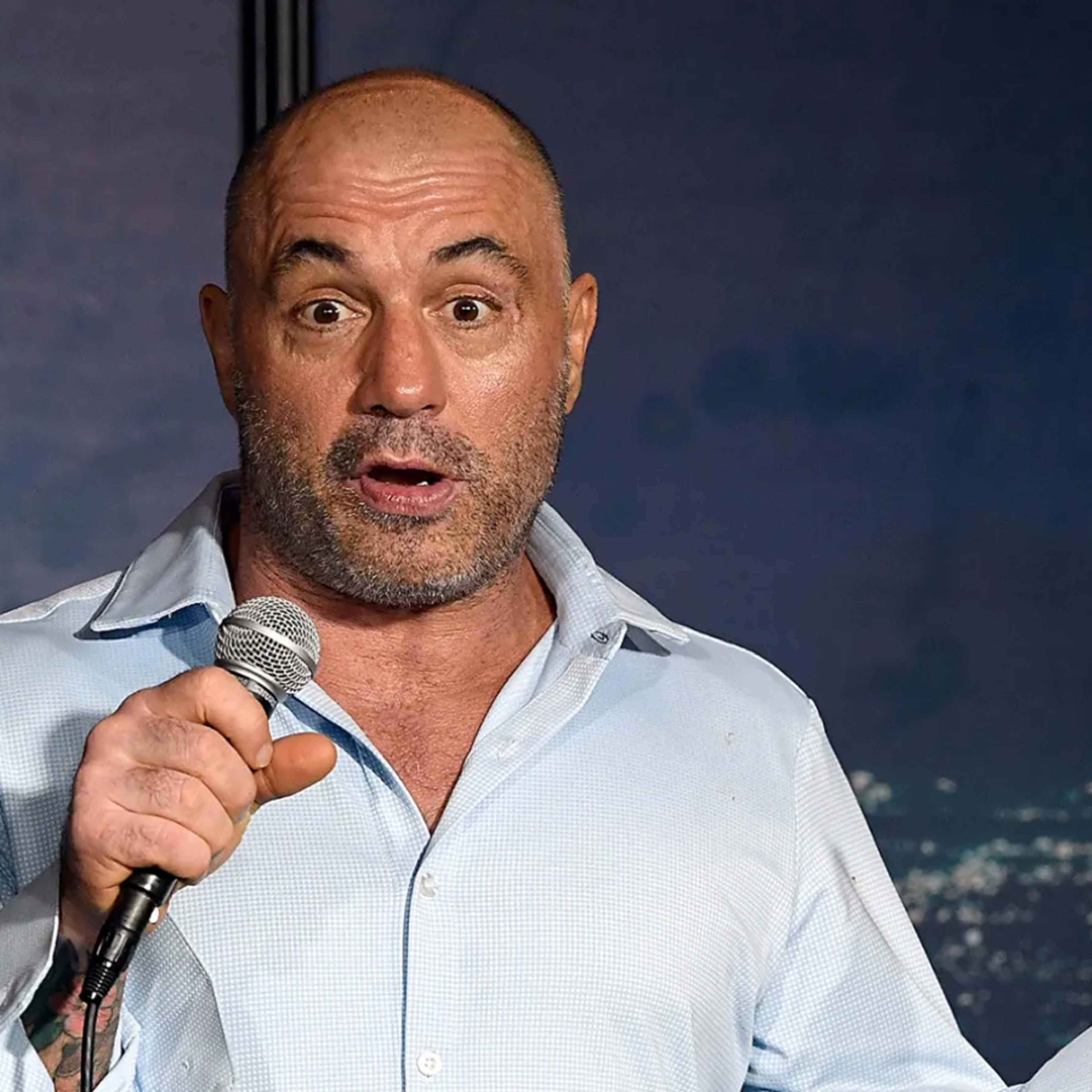 Joe Rogan dismisses connection to Jeffrey Epstein after appearing in ...